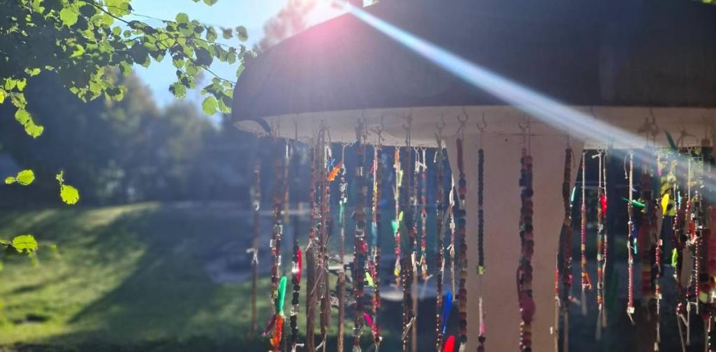 Einblicke in unseren Waldkindergarten